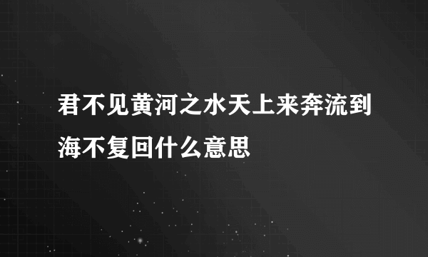 君不见黄河之水天上来奔流到海不复回什么意思