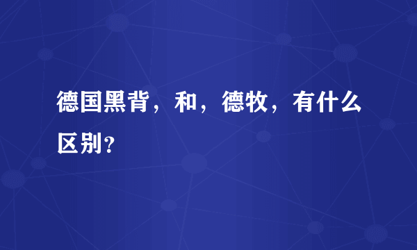 德国黑背，和，德牧，有什么区别？