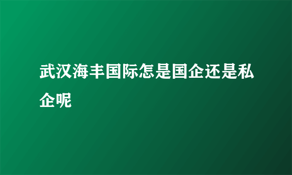 武汉海丰国际怎是国企还是私企呢