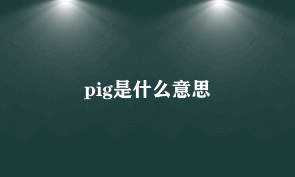 pig是什么意思