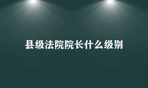 县级法院院长什么级别