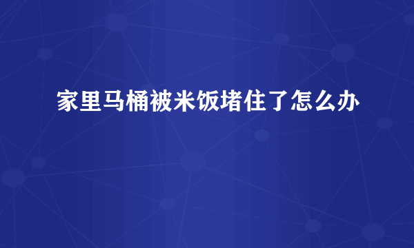 家里马桶被米饭堵住了怎么办