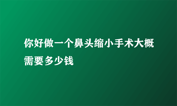 你好做一个鼻头缩小手术大概需要多少钱