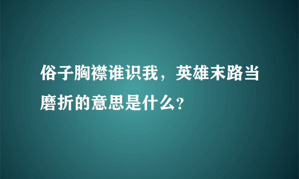 俗子胸襟谁识我，英雄末路当磨折的意思是什么？