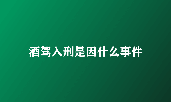 酒驾入刑是因什么事件