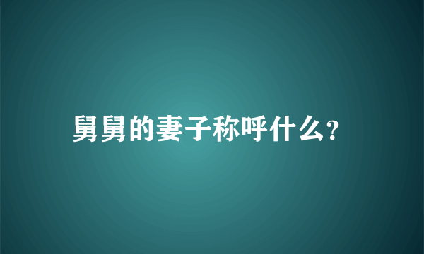 舅舅的妻子称呼什么？