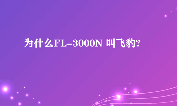 为什么FL-3000N 叫飞豹?