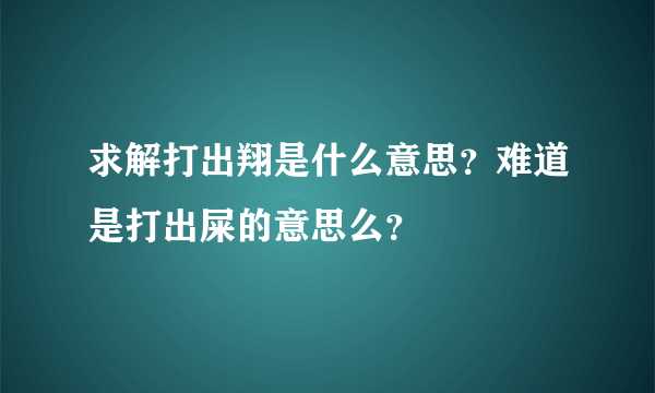 求解打出翔是什么意思？难道是打出屎的意思么？