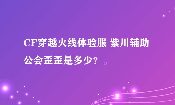 CF穿越火线体验服 紫川辅助公会歪歪是多少？。