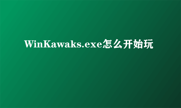 WinKawaks.exe怎么开始玩