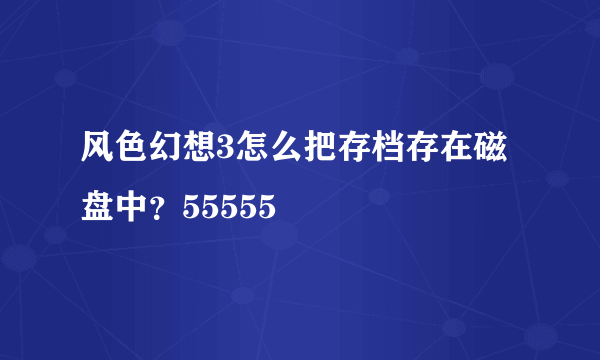 风色幻想3怎么把存档存在磁盘中？55555