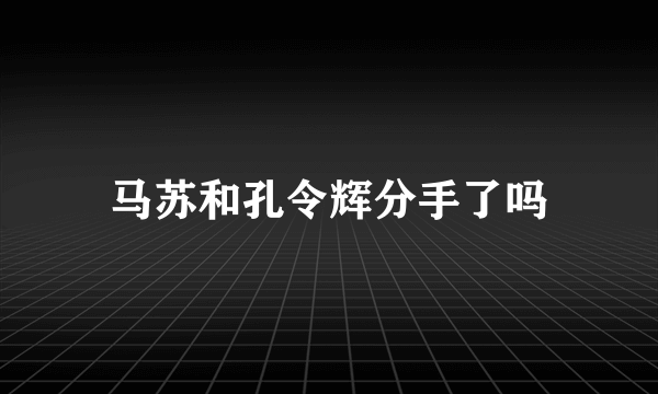 马苏和孔令辉分手了吗