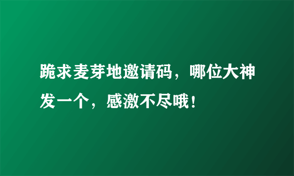 跪求麦芽地邀请码，哪位大神发一个，感激不尽哦！