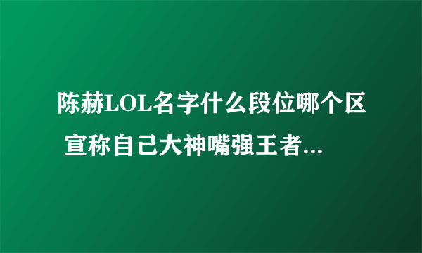 陈赫LOL名字什么段位哪个区 宣称自己大神嘴强王者-飞外网