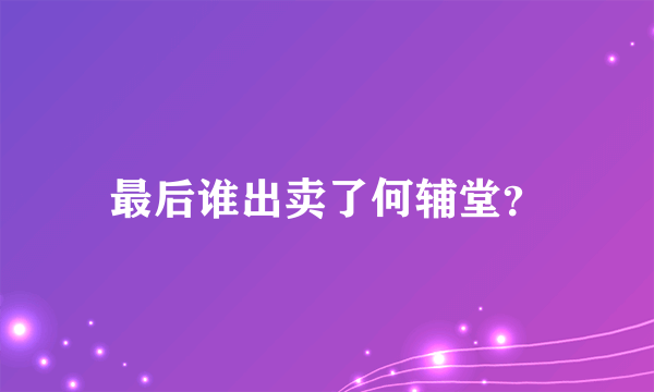 最后谁出卖了何辅堂？