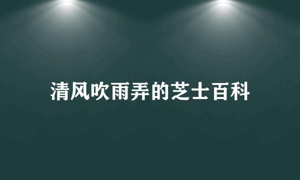 清风吹雨弄的芝士百科