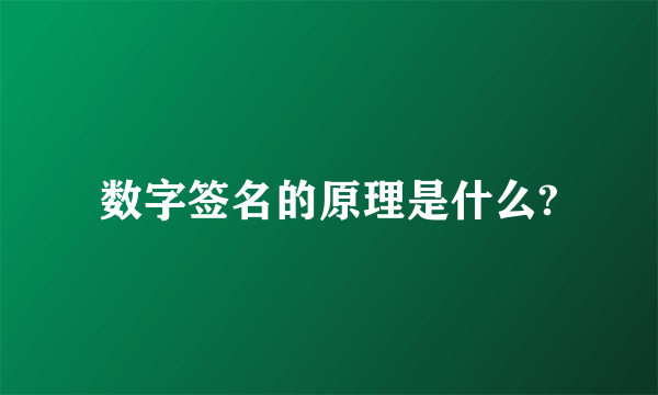 数字签名的原理是什么?