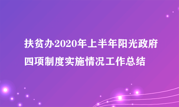 扶贫办2020年上半年阳光政府四项制度实施情况工作总结