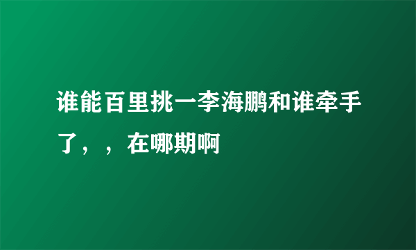 谁能百里挑一李海鹏和谁牵手了，，在哪期啊