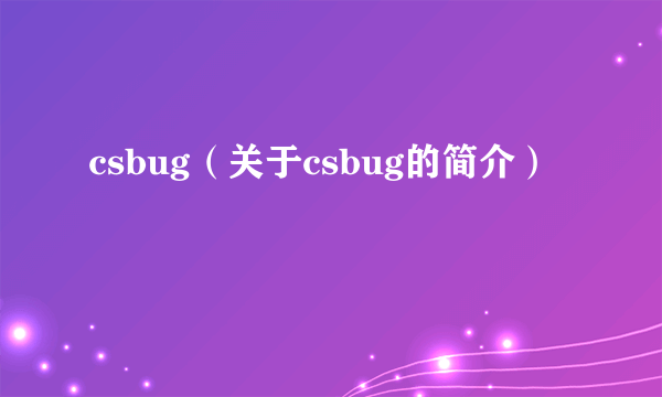 csbug（关于csbug的简介）