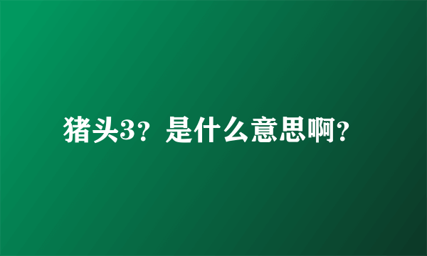 猪头3？是什么意思啊？