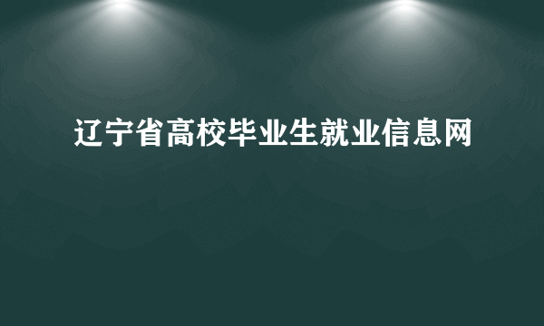 辽宁省高校毕业生就业信息网