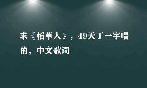 求《稻草人》，49天丁一宇唱的，中文歌词