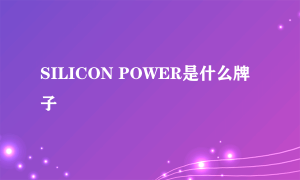 SILICON POWER是什么牌子