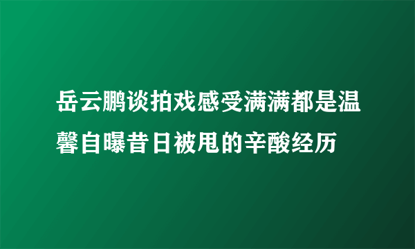 岳云鹏谈拍戏感受满满都是温馨自曝昔日被甩的辛酸经历