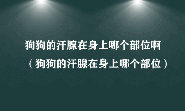 狗狗的汗腺在身上哪个部位啊（狗狗的汗腺在身上哪个部位）