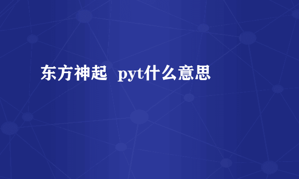 东方神起  pyt什么意思