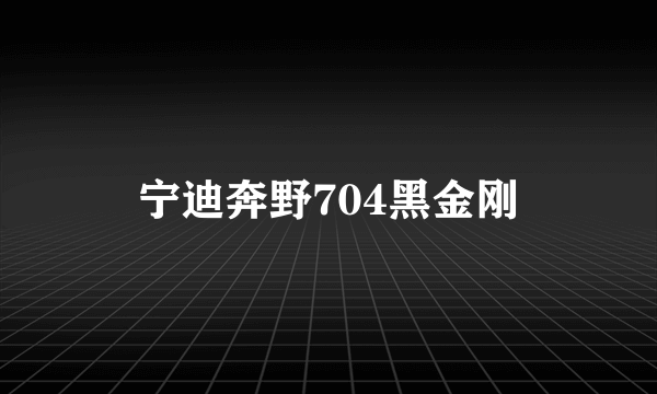 宁迪奔野704黑金刚