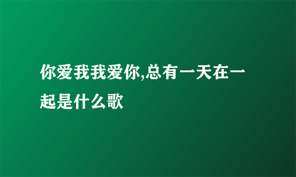 你爱我我爱你,总有一天在一起是什么歌