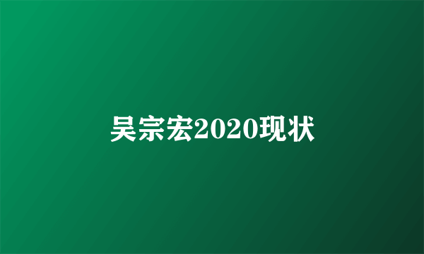 吴宗宏2020现状