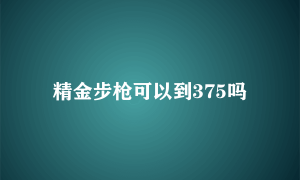 精金步枪可以到375吗