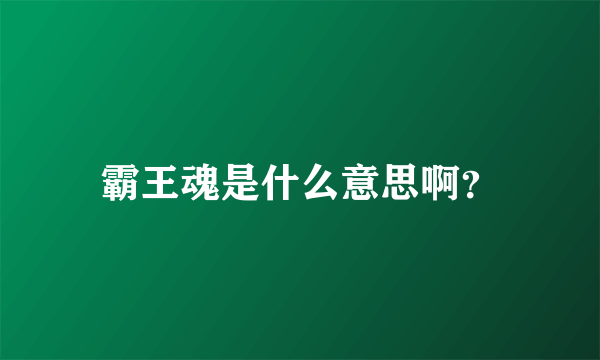 霸王魂是什么意思啊？