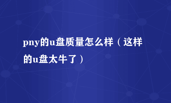 pny的u盘质量怎么样（这样的u盘太牛了）