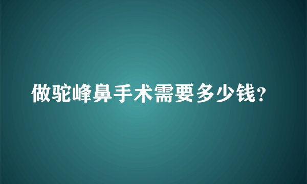 做驼峰鼻手术需要多少钱？