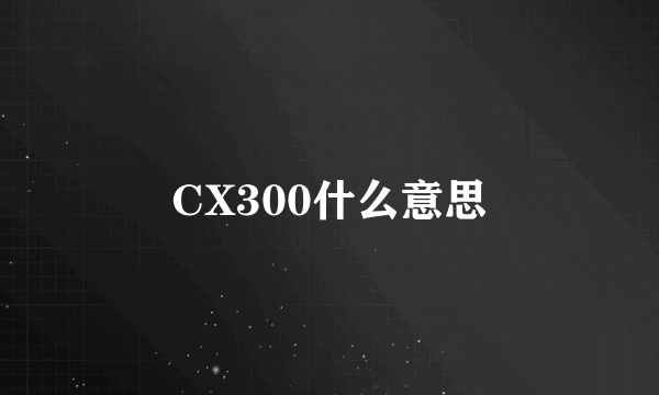 CX300什么意思