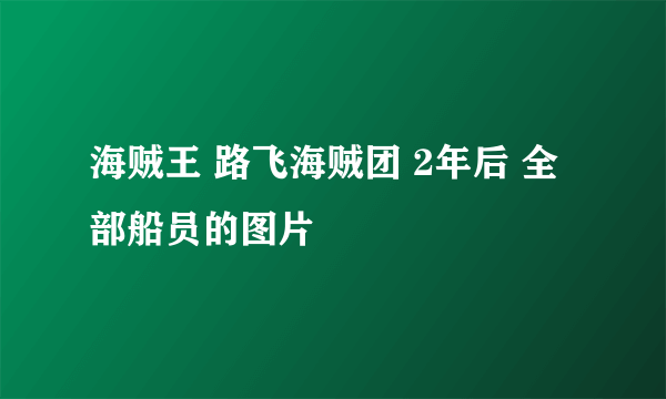 海贼王 路飞海贼团 2年后 全部船员的图片