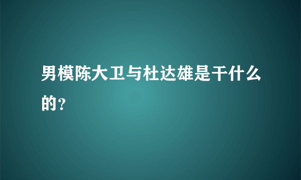 男模陈大卫与杜达雄是干什么的？