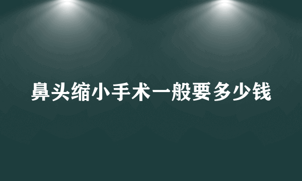 鼻头缩小手术一般要多少钱